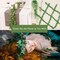 12 Pack Fake Ivy Vines for Room Decor – Artificial Garland with Clips, Hanging Greenery Leaves & Flowers for Bedroom, Home, Garden, Wall & Wedding Decorations